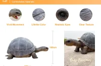 Size of the giant tortoise costume