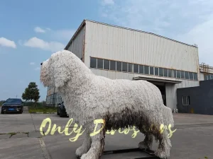 Komondor:The Majestic Mop Dog