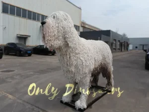 Komondor:The Majestic Mop Dog