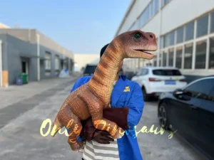 Realistic Camarasaurus Puppet for Dinosaur Enthusiasts